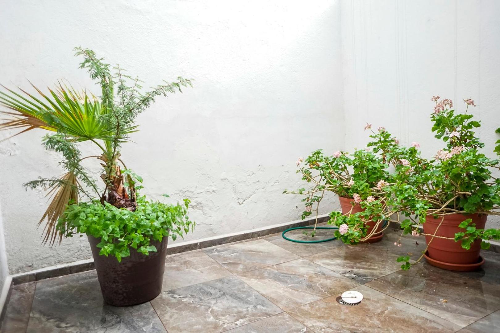 Casa Morelos Stayhouse 산루이스포토시주 외부 사진