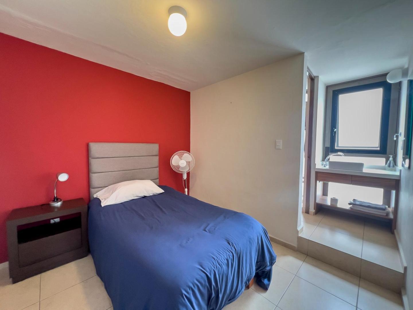 Casa Morelos Stayhouse 산루이스포토시주 외부 사진
