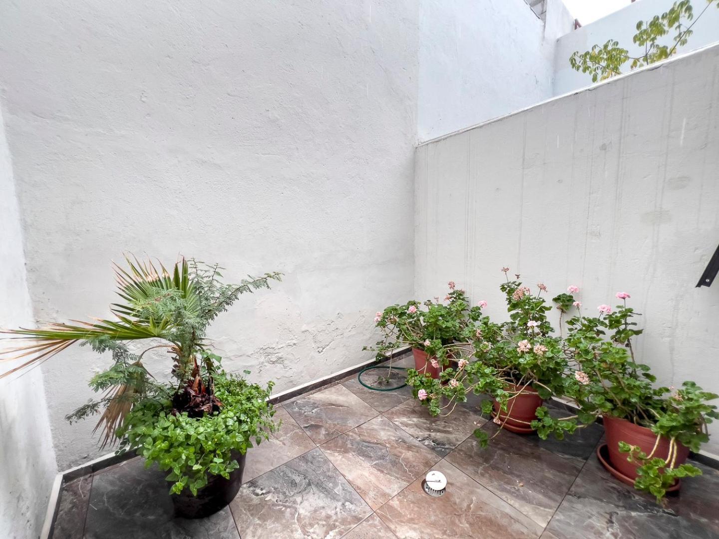 Casa Morelos Stayhouse 산루이스포토시주 외부 사진
