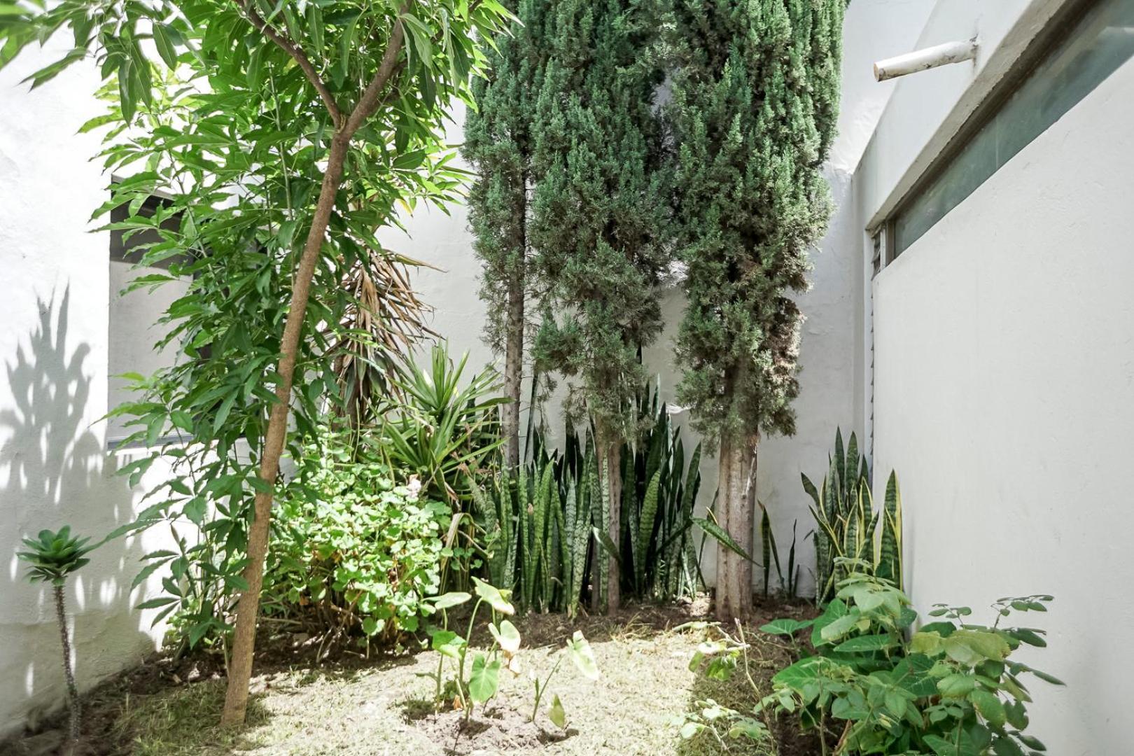 Casa Morelos Stayhouse 산루이스포토시주 외부 사진